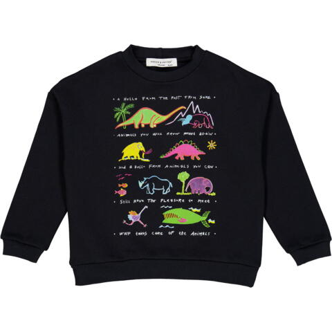 WWF Dinosaur sweatshirt, barn