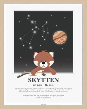 Plakat, Skytten