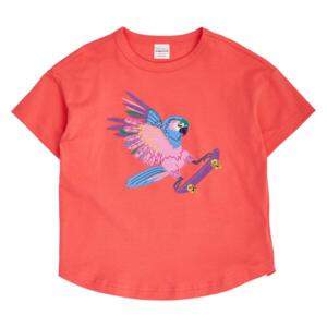 Hello parrot s/s big T,